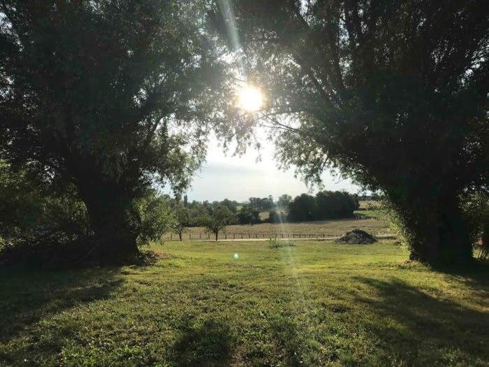 Bed and Breakfast La Grange A Outeaux Montpont-en-Bresse Exterior foto